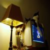 The top of Adam's computer monitor was Commodore and Tsunami's favorite place to nap.  When he bought a flat screen monitor they were heartbroken.  Tsunami even tried to jump on top of it before realizing there was no surface to support him.